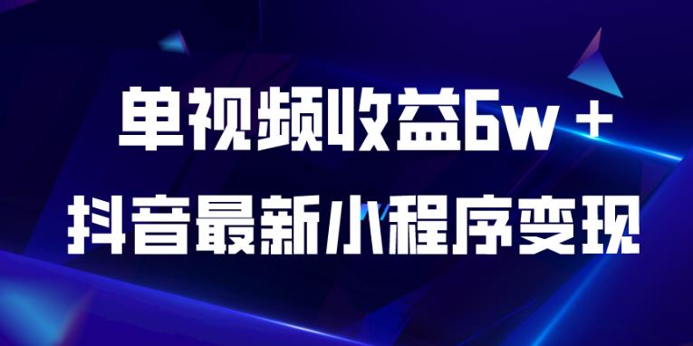 抖音最新小程序变现项目，单视频收益6w＋，小白可做【揭秘】-赛德副业库