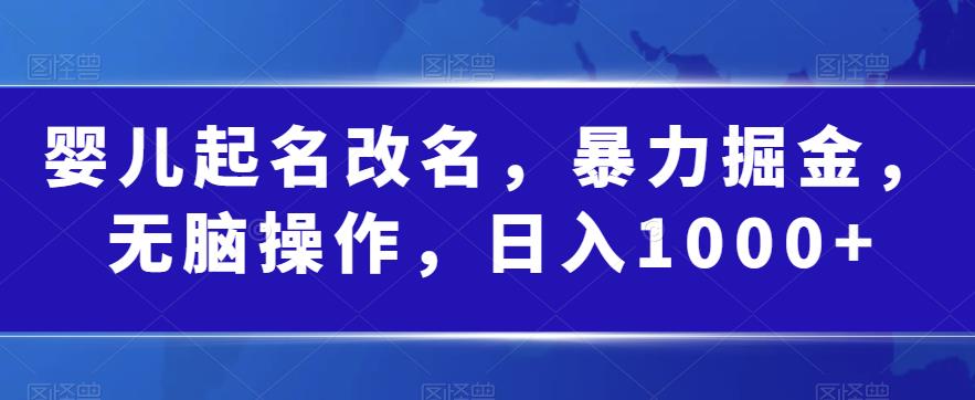 婴儿起名改名，暴力掘金，无脑操作，日入1000+【揭秘】-赛德副业库