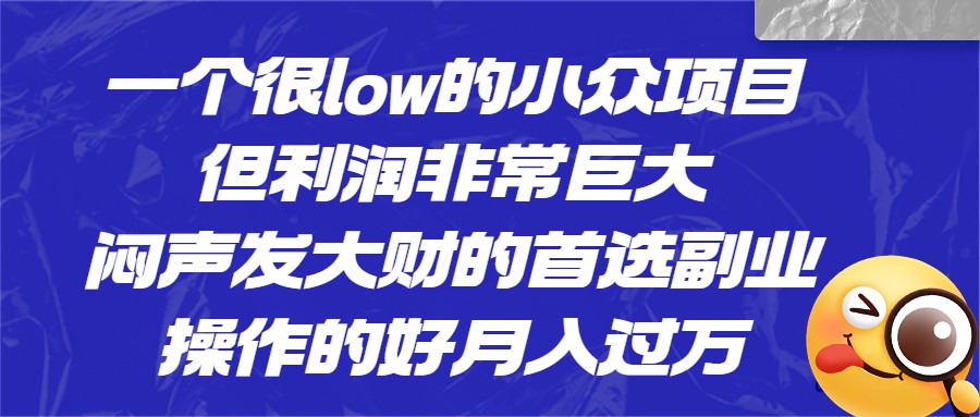 一个很low的小众项目，但利润非常巨大，闷声发大财的首选副业，操作的好月入过万-赛德副业库