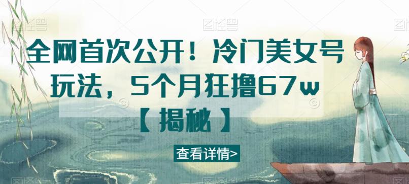 全网首次公开！冷门美女号玩法，5个月狂撸67w【揭秘】-赛德副业库