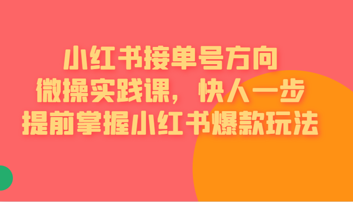 红书接单号方向微操实践课，快人一步提前掌握小红书爆款玩法-赛德副业库