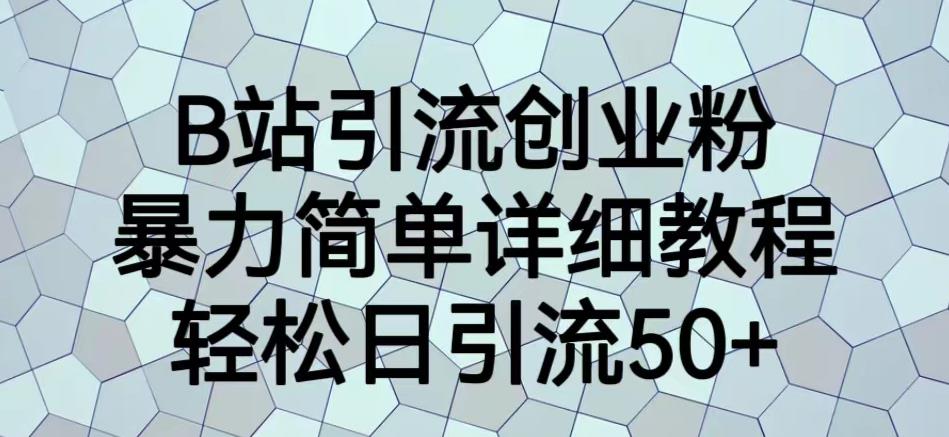 B站引流创业粉，暴力简单详细教程，轻松日引流50+【揭秘】-赛德副业库