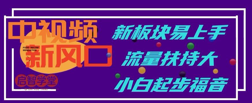 中视频新风口,新板块易上手,流量扶持大,小白起步福音【揭秘】-赛德副业库