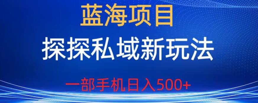 蓝海项目，探探私域新玩法，一部手机日入500+很轻松【揭秘】-赛德副业库