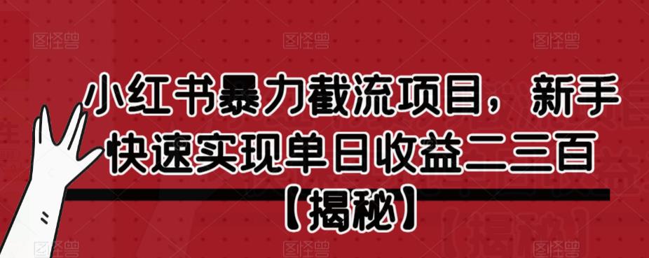 小红书暴力截流项目，新手快速实现单日收益二三百【仅揭秘】-赛德副业库