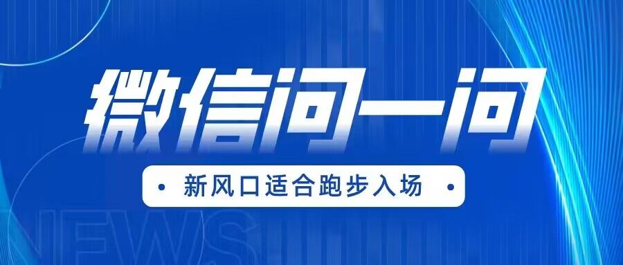 全网首发微信问一问新风口变现项目（价值1999元）-赛德副业库