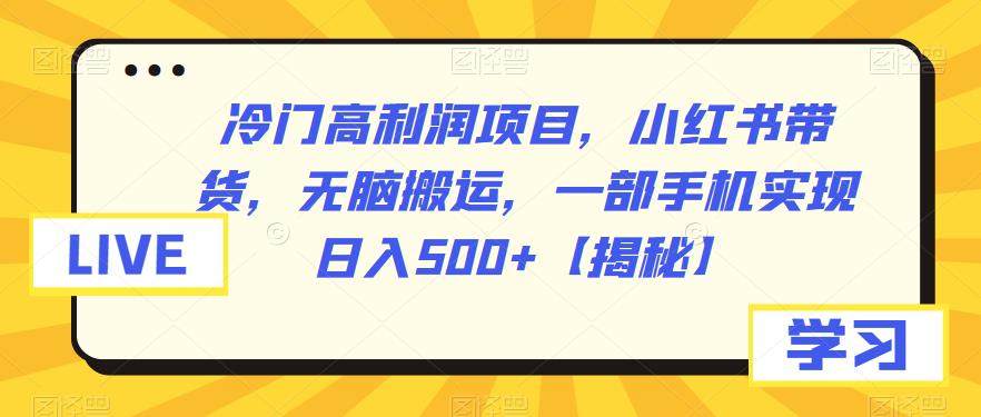 冷门高利润项目，小红书带货，无脑搬运，一部手机实现日入500+【揭秘】-赛德副业库