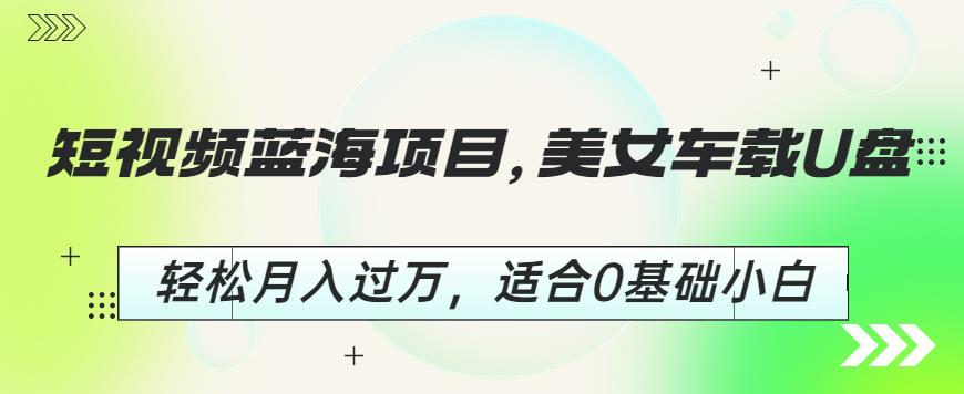 短视频蓝海项目，美女车载U盘，轻松月入过万，适合0基础小白【揭秘】-赛德副业库