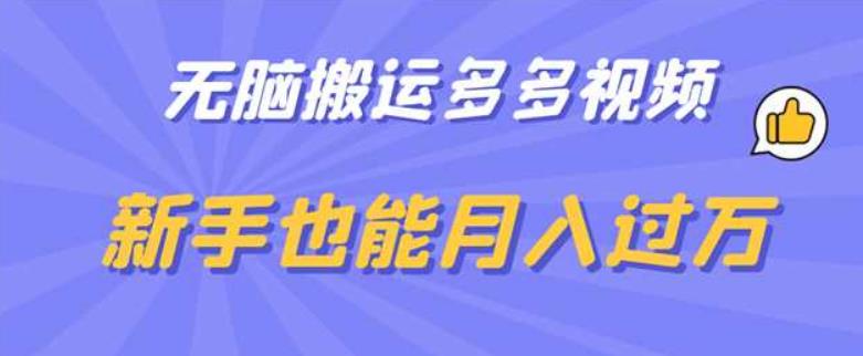 无脑搬运多多视频，新手也能月入过万【揭秘】-赛德副业库