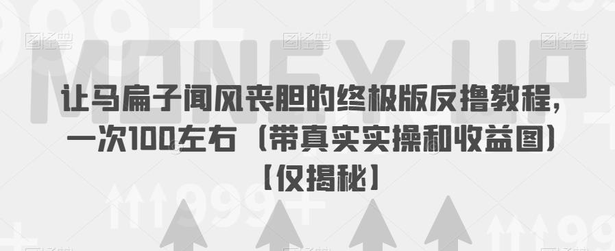 让马扁子闻风丧胆的终极版反撸教程，一次100左右（带真实实操和收益图）【仅揭秘】-赛德副业库