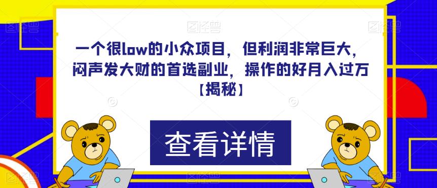 一个很low的小众项目，但利润非常巨大，闷声发大财的首选副业，操作的好月入过万【揭秘】-赛德副业库