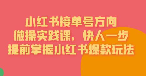 接单号方向·小红书微操实践课，快人一步，提前掌握小红书爆款玩法-赛德副业库