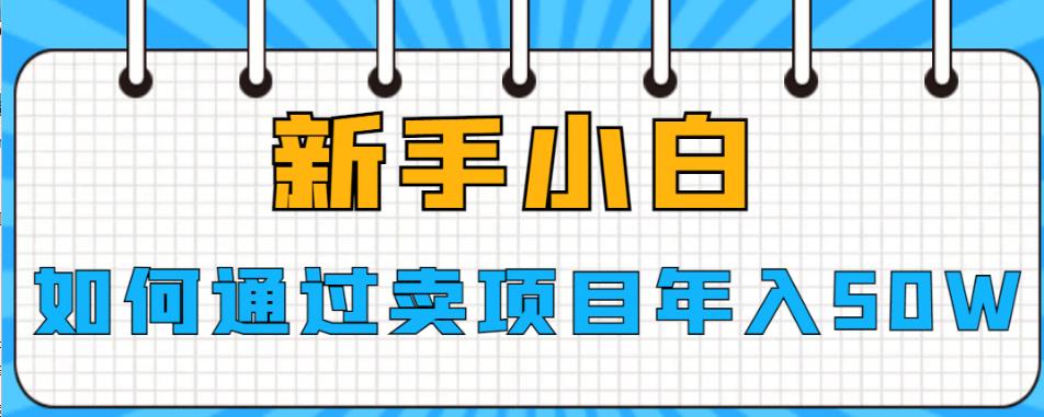 新手小白如何通过卖项目年入50W【揭秘】-赛德副业库