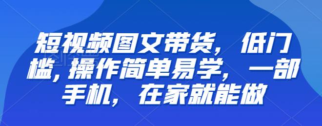 【推荐】短视频图文带货，低门槛,操作简单易学，一部手机，在家就能做-赛德副业库