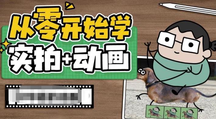 从零开始学实拍加动画，实拍加动画创意教程-赛德副业库