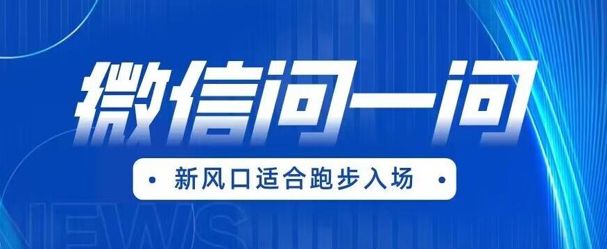 全网首发微信问一问新风口变现项目（价值1999元）【揭秘】-赛德副业库