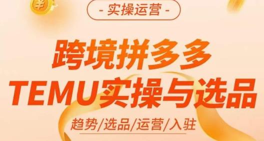 伍跃·跨境拼多多TEMU实操与选品，​趋势/选品/运营/入住（27节完整）-赛德副业库