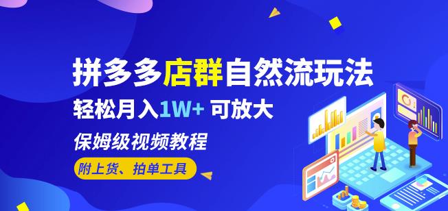 拼多多店群自然流玩法，轻松月入1W+保姆级视频教程（附上货、拍单工具）-赛德副业库