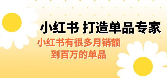 某公众号付费文章《小红书打造单品专家》小红书有很多月销额到百万的单品-赛德副业库
