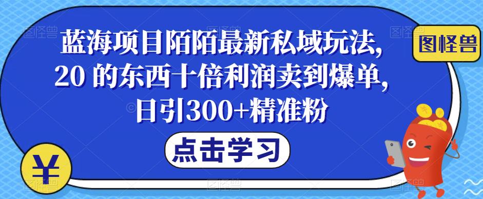 蓝海项目陌陌最新私域玩法，20 的东西十倍利润卖到爆单，日引300+精准粉【揭秘】-赛德副业库