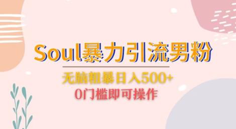 Soul暴力引流男粉玩法,无脑粗暴日入500+,0门槛即可操作【揭秘】-赛德副业库