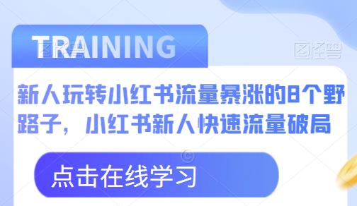 新人玩转小红书流量暴涨的8个野路子，小红书新人快速流量破局-赛德副业库