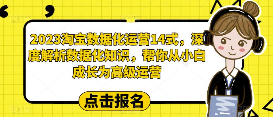 2023淘宝数据化运营14式，深度解析数据化知识，帮你从小白成长为高级运营-赛德副业库