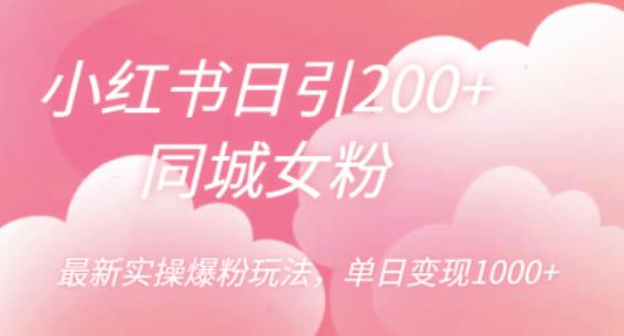 小红书日引200+同城女粉，最新实操爆粉玩法，单日变现1000+【揭秘】-赛德副业库