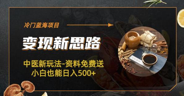 冷门蓝海项目-中医新玩法-资料免费送小白也能日入500+【揭秘】-赛德副业库