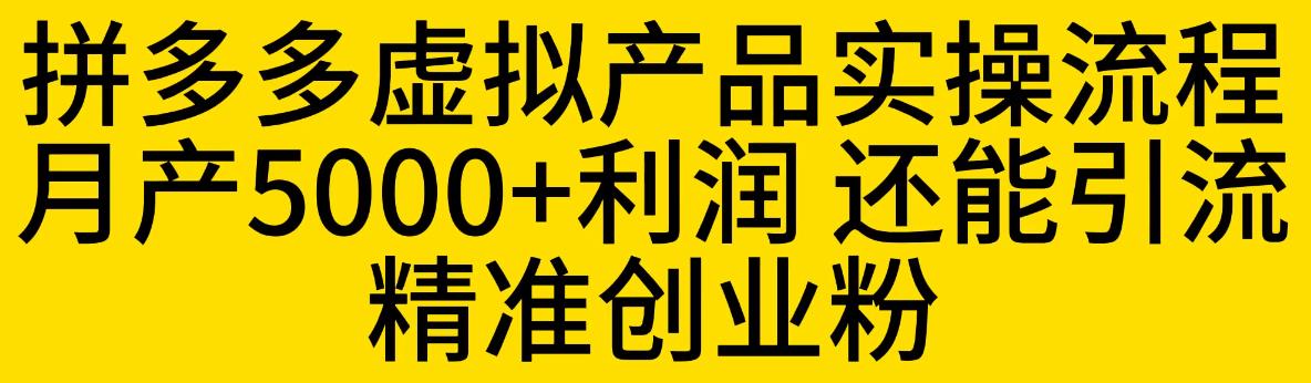 拼多多虚拟产品实操流程，月产5000+利润，还能引流精准创业粉【揭秘】-赛德副业库