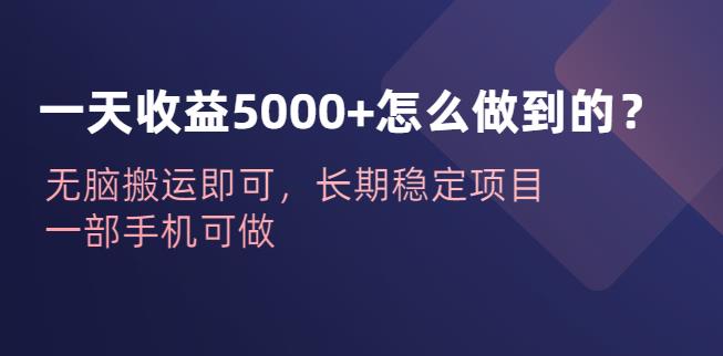 一天收益5000+怎么做到的？无脑搬运即可，长期稳定项目，一部手机可做【揭秘】-赛德副业库