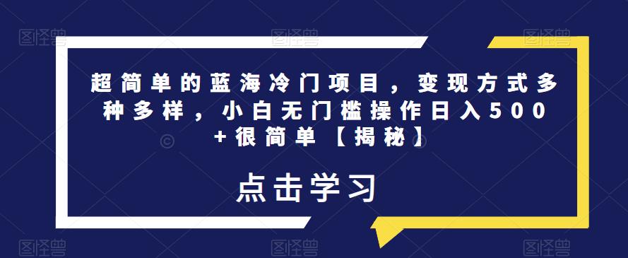 超简单的蓝海冷门项目，变现方式多种多样，小白无门槛操作日入500+很简单【揭秘】-赛德副业库