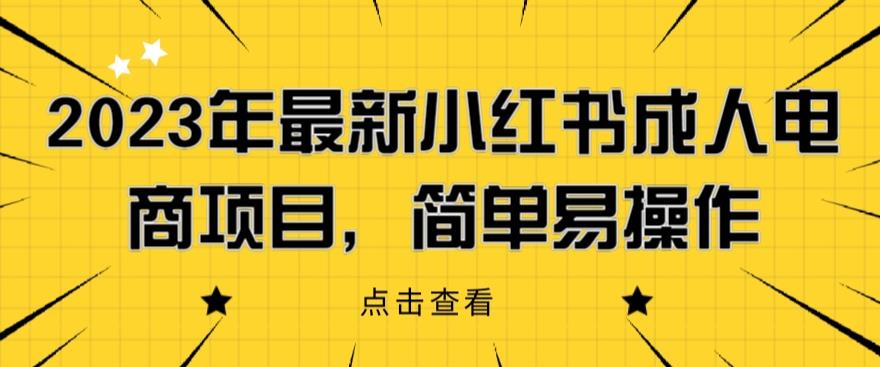 2023年最新小红书成人电商项目，简单易操作【详细教程】【揭秘】-赛德副业库