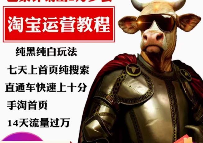 猫老师·淘系算法逆向解密,纯黑纯白玩法,七天上首页纯搜索,手淘首页14天流量过万-赛德副业库