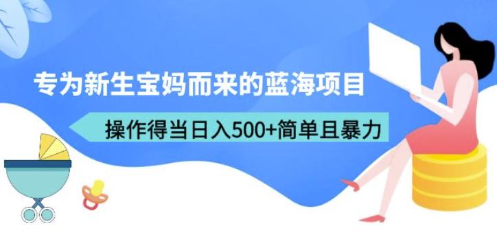 专为新生宝妈而来的蓝海项目，操作得当日入500+简单且暴力（教程+工具）【揭秘】-赛德副业库