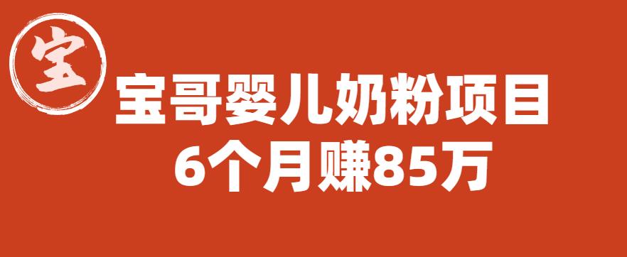 宝哥婴儿奶粉项目，6个月赚85w【图文非视频】【揭秘】-赛德副业库
