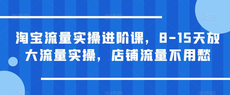 淘宝流量实操进阶课，8-15天放大流量实操，店铺流量不用愁-赛德副业库