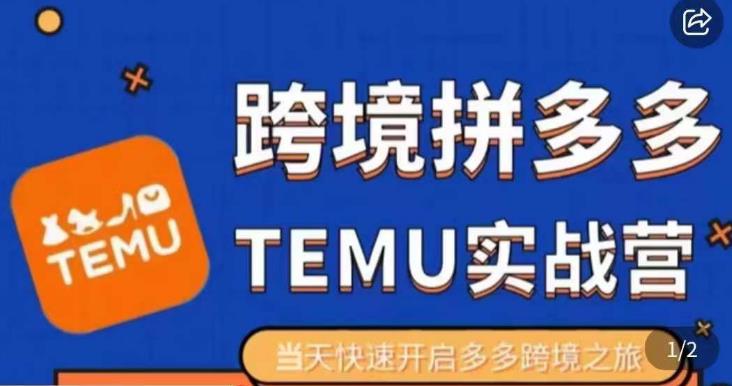 大鹏出海·拼多多跨境temu运营指导，开店注册+选品+核价上架，日出千单实战课-赛德副业库
