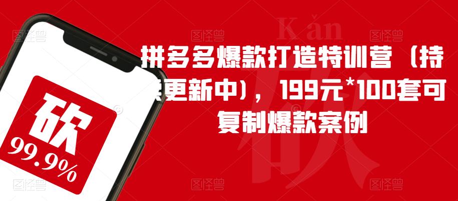 拼多多爆款打造特训营（持续更新中)，199元*100套可复制爆款案例-赛德副业库