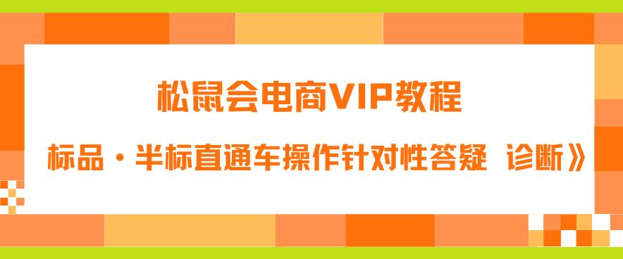 松鼠会电商VIP教程：松鼠《付费推广标品·半标直通车操作针对性答疑&诊断》-赛德副业库