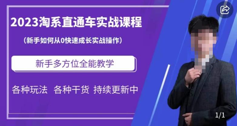 2023淘系直通车保姆式运营讲解，新手如何从0快速成长实战操作，新手多方位全能教学-赛德副业库