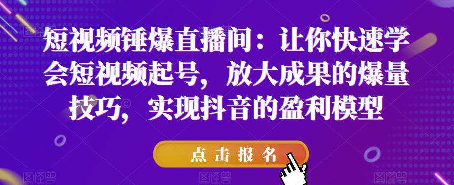 短视频锤爆直播间：让你快速学会短视频起号，放大成果的爆量技巧，实现抖音的盈利模型-赛德副业库