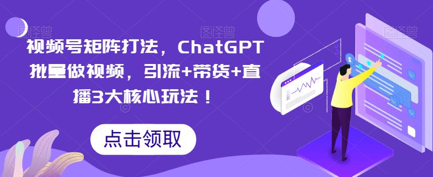 视频号矩阵打法，ChatGPT批量做视频，引流+带货+直播3大核心玩法！-赛德副业库