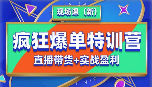 抖音短视频疯狂爆单特训营现场课（新）直播带货+实战案例-赛德副业库