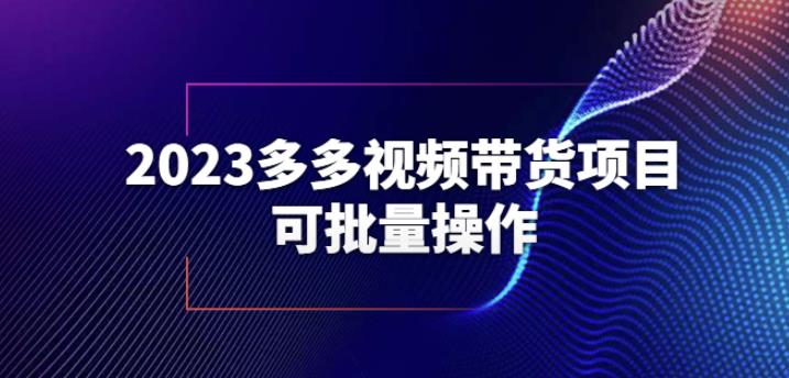 2023多多视频带货项目，可批量操作【保姆级教学】【揭秘】-赛德副业库