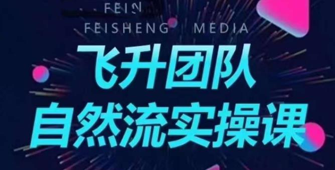飞升团队课程自然流实操课，抖音半无人起号主播间搭建教学-赛德副业库