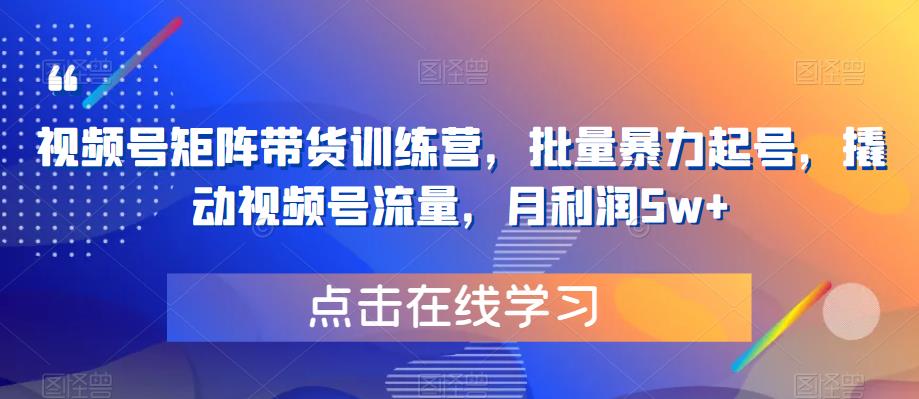 视频号矩阵带货训练营，批量暴力起号，撬动视频号流量，月利润5w+-赛德副业库