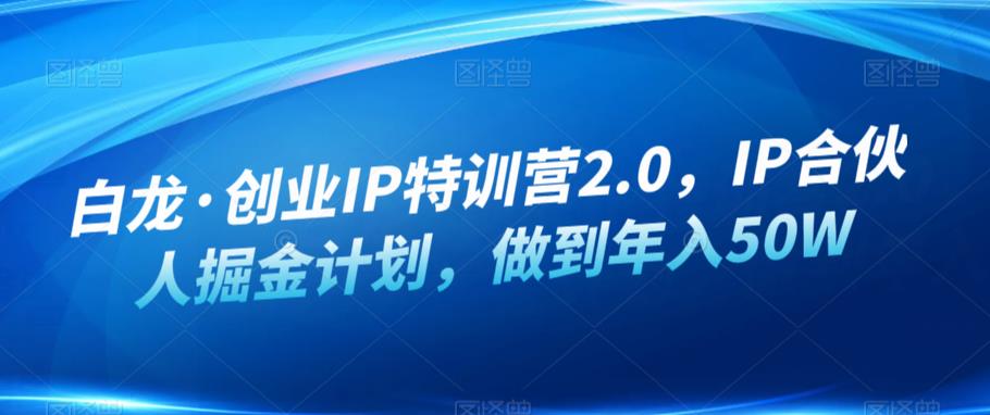 白龙·创业IP特训营2.0,IP合伙人掘金计划,做到年入50W-赛德副业库