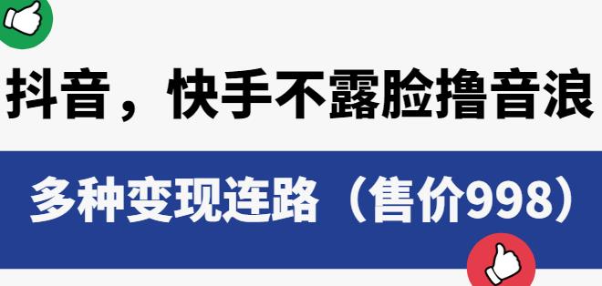 抖音快手不露脸撸音浪项目，多种变现连路（售价998）-赛德副业库