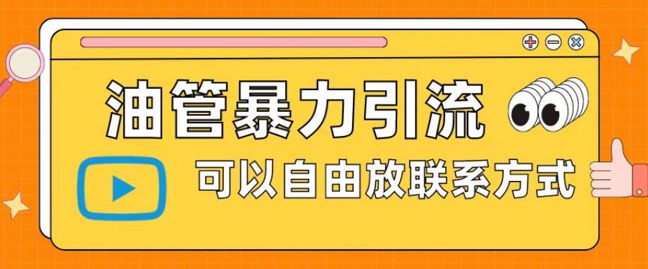 油管暴力引流，可以自由放联系方式【揭秘】-赛德副业库